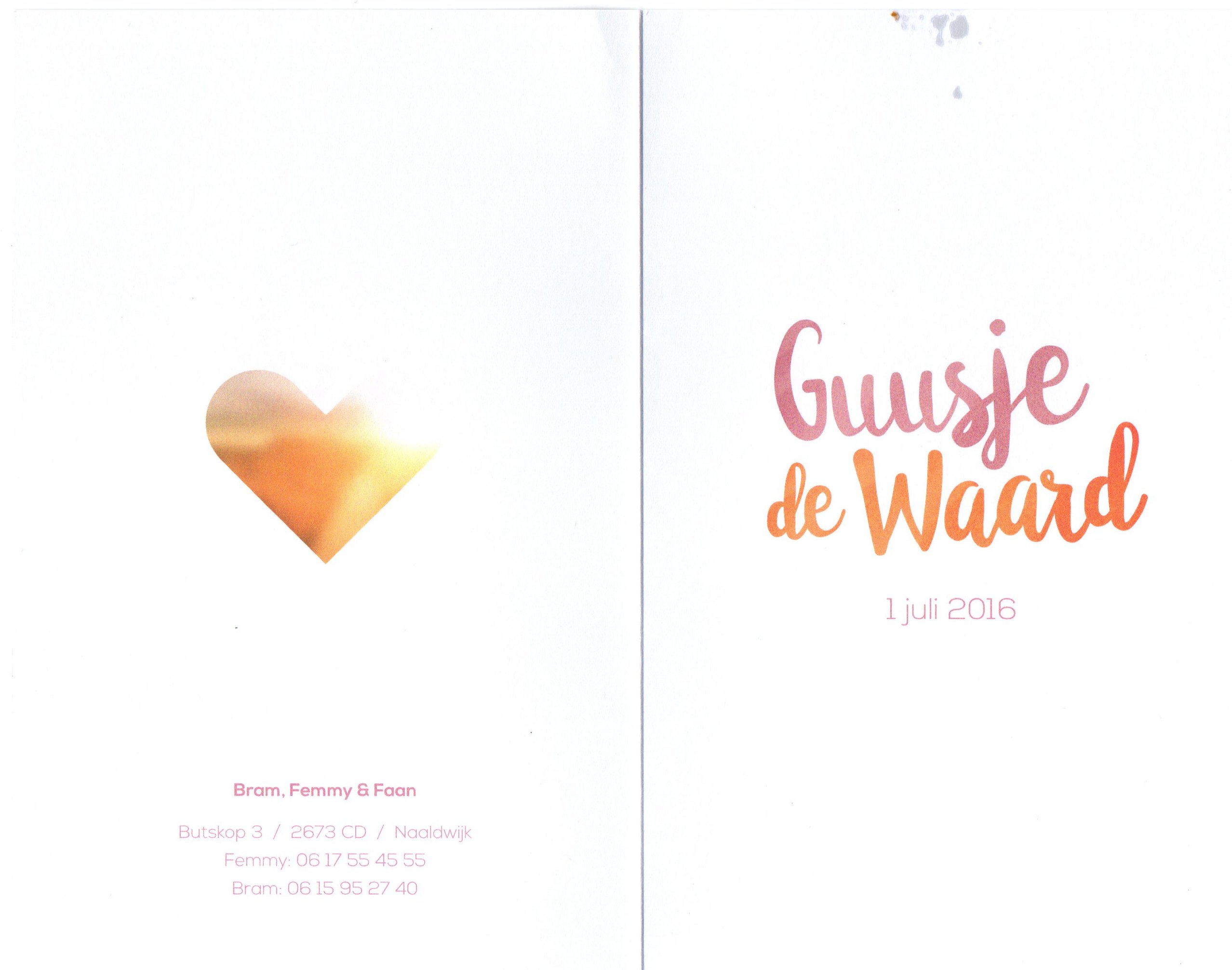 Geboorte nieuws van Guusje de Waard