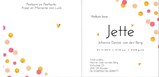 Jette