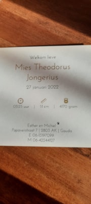 Mies Jongerius 1
