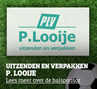 Balsponsor_PLOOIJE