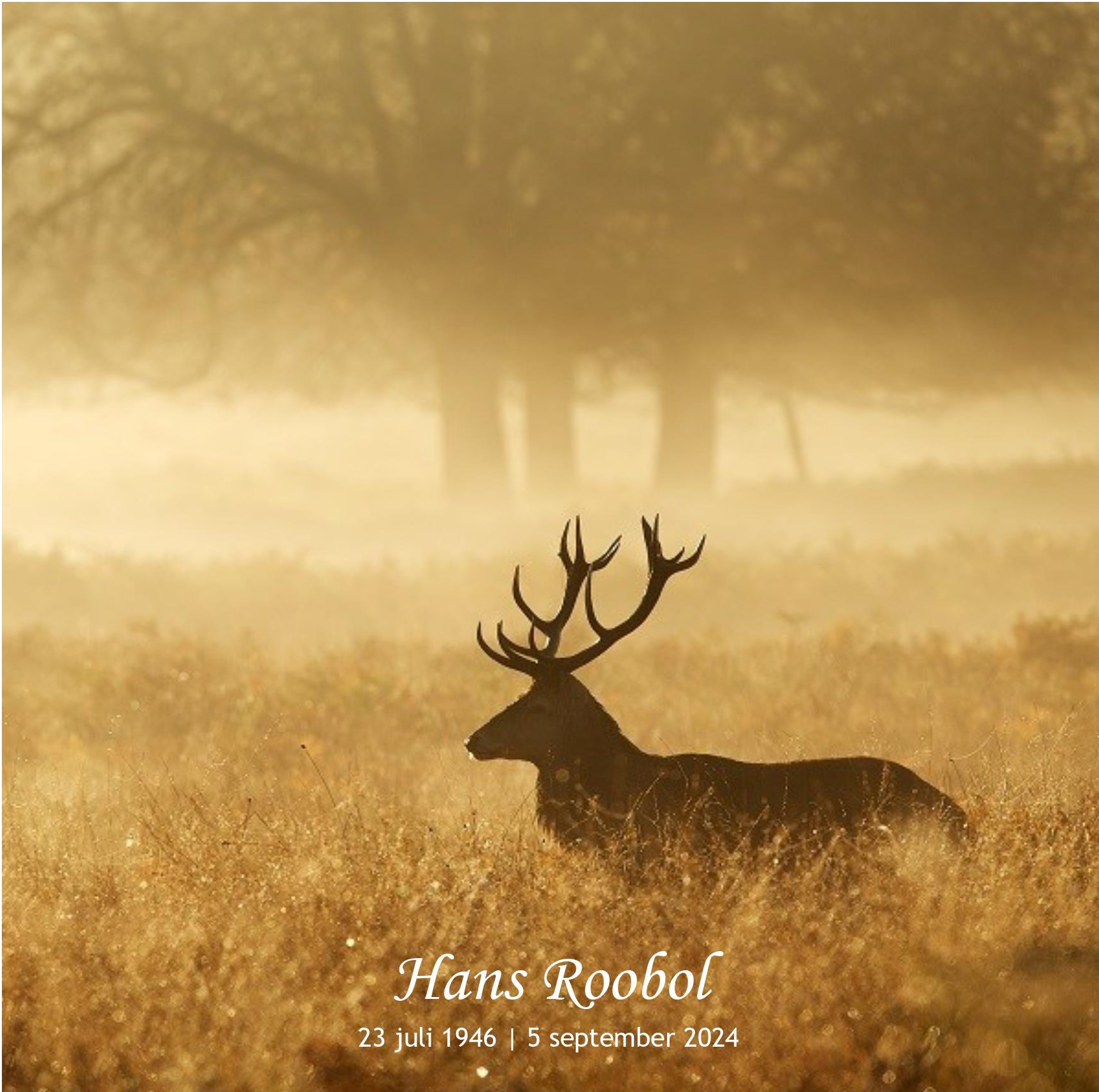 Overlijden Hans Roobol