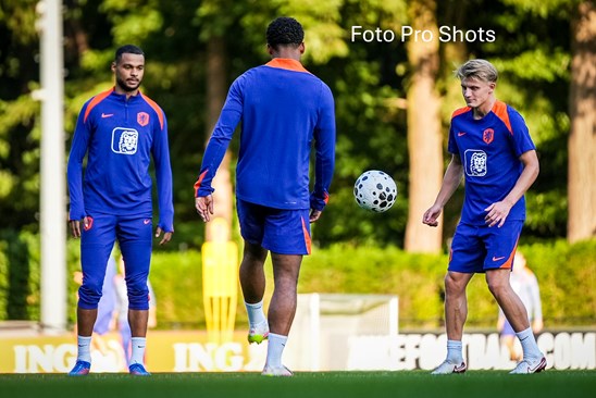 Steijn Timber Oranje Proshots